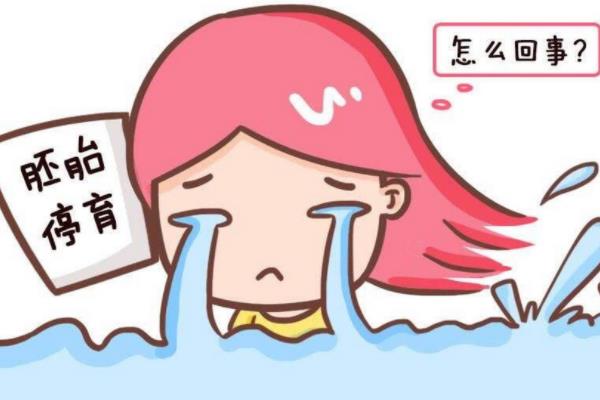 胚胎停育是什么原因 孕媽須知