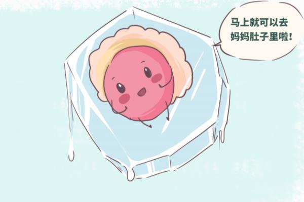 移植凍胚前需要如何調理身體！做哪些準備！