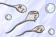 少精癥的危害有哪些 需要怎么調理嗎