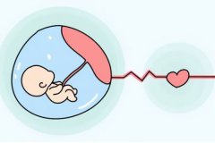 胚胎停育是什么原因造成的？一般發生在什么時候？