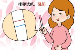 監測排卵從第幾天開始？卵泡監測怎么做？