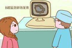 監測排卵從第幾天開始?排卵監測多少錢?