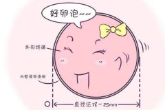 卵子質量好不好怎么判斷？卵泡不發育的原因是什么？