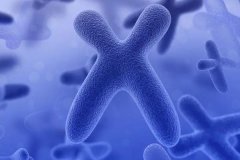 孕前查染色體需要空腹嗎?懷孕期間有沒有必要做染色體檢查?