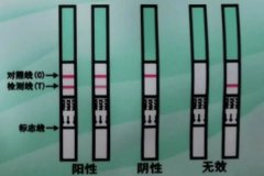 早孕試紙會出現假陽性嗎？早孕試紙多久能測出懷孕？