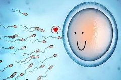 精子和卵子結合需要多久懷孕？卵子與精子結合癥狀是什么？