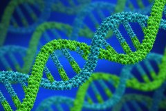 染色體檢查應該什么時候去做？查染色體多久出結果？