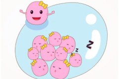 卵泡的生長過程怎樣的？卵泡期是什么意思？