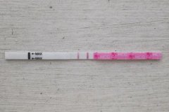 早早孕試紙的準確性？早早孕試紙什么時候測？
