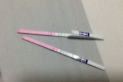 鮮胚移植8天能否測出來？結果準確嗎？